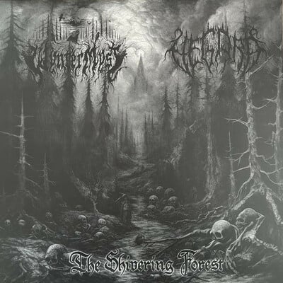 Wynter myst/vegard – the shivering forest split lp