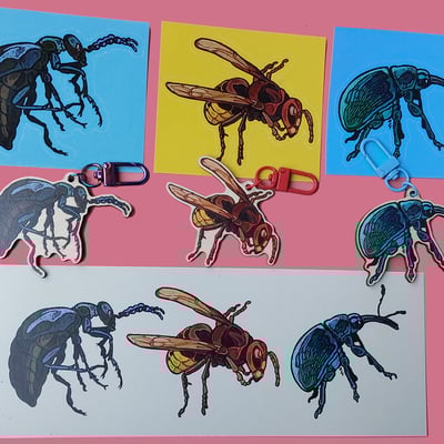 Bugs - keychains, stickers, bookmark