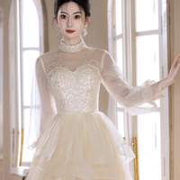 Champagne Tulle Long Sleeve Evening Party Dress - Thumbnail 2