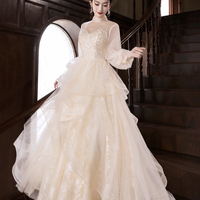 Champagne Tulle Long Sleeve Evening Party Dress - Thumbnail 4