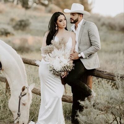 Sexy plus size wedding dress, deep v-neck backless bridal dress wedding gown