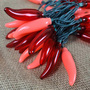 Valentine's Day- LED Chili Pepper string lights - 50 Peppers per string - - 13.5 ft - free ship-2