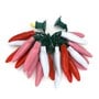 Valentine's Day- LED Chili Pepper string lights - 50 Peppers per string - - 13.5 ft - free ship-3