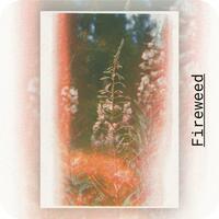 Risograph Prints - Thumbnail 1