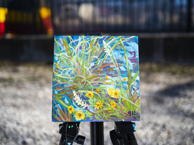 Flowers in Canyonland