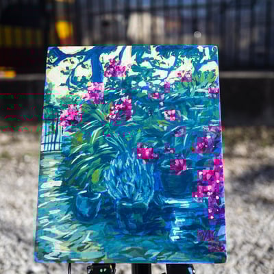 Krause springs butterfly garden