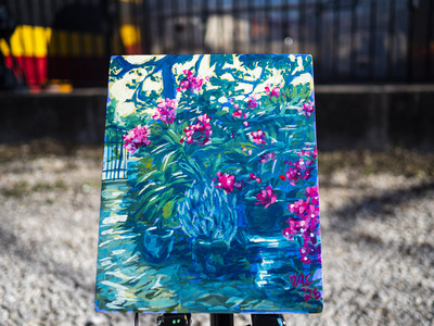 Krause Springs Butterfly Garden