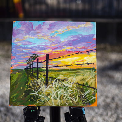 Sunset and fence line