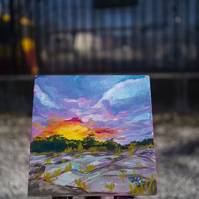 Pedernales falls at sunset