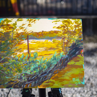 Cactuses near a field