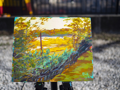 Cactuses Near a Field