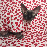 My Hearts I - Sleepwear - Thumbnail 1