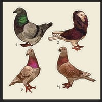 Pigeon stickers - Thumbnail 1