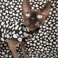 My Hearts II - Sleepwear - Thumbnail 2