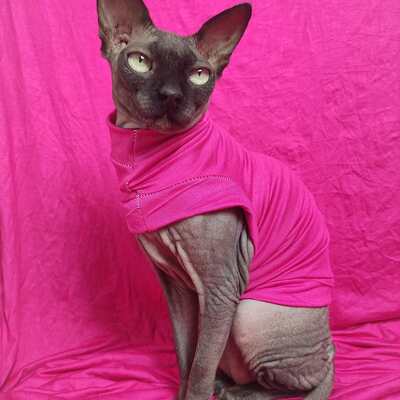 Electric pink - sleepwear