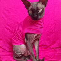 Electric Pink - Sleepwear - Thumbnail 3