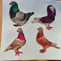 Pigeon stickers - Thumbnail 3