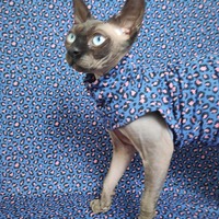 (Little Bit Of) Pink Leopard - Sleepwear - Thumbnail 2