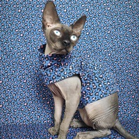 (Little Bit Of) Pink Leopard - Sleepwear - Thumbnail 1