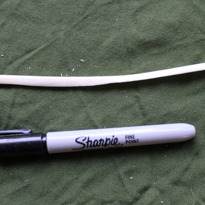 Real alaskan gray wolf ulna bone