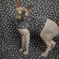 Little Big Hearts - Sleepwear - Thumbnail 2