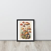 Vintage Botanical Mushroom Illustration Framed poster - Thumbnail 1