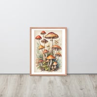 Vintage Botanical Mushroom Illustration Framed poster - Thumbnail 10