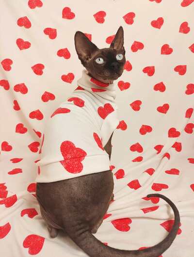 Big Hearts - Sleepwear