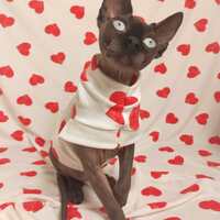 Big Hearts - Sleepwear - Thumbnail 2