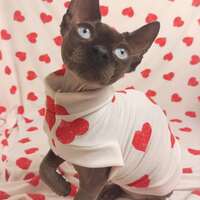 Big Hearts - Sleepwear - Thumbnail 1