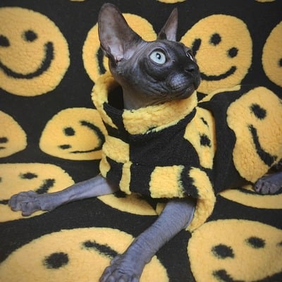 Don't worry be happy sherpa