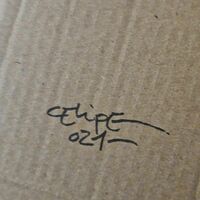 📺 Diptych Paintings by Celipe Perroloco "Orange Cat & Happy Dog"   - Thumbnail 5