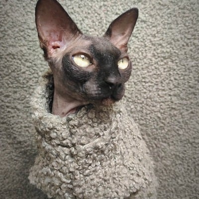 My little lamb - vegan fur