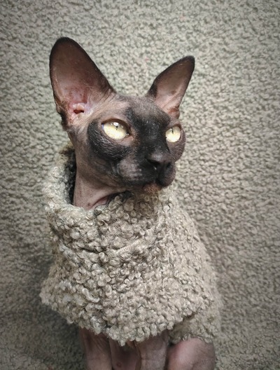 My Little Lamb - Vegan Fur