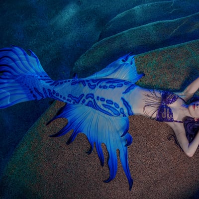 Glaucous atlanticus mermaid