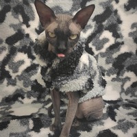 Arctic Camo Sherpa - Thumbnail 3