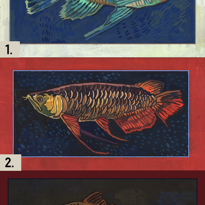 Fish postcards
