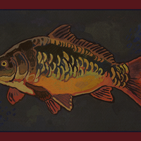 Fish postcards - Thumbnail 3