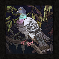 Animal postcards II - Thumbnail 2