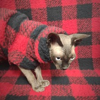 Buffalo Check (Red) Sherpa - Thumbnail 1