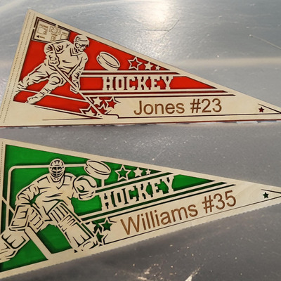 298 hockey pennant