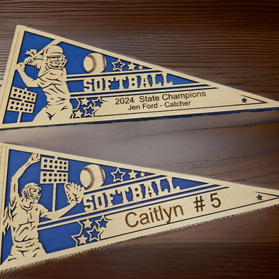 307 girls softball pennant