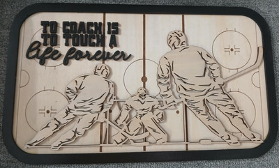 309 Stadium Series Ice Hockey Plaque