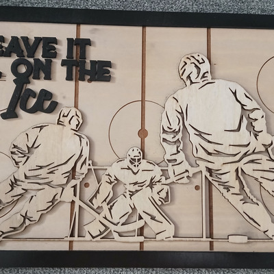 309 stadium series ice hockey plaque