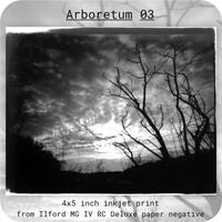 Pinhole Prints - Thumbnail 2