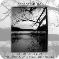 Pinhole Prints - Thumbnail 1