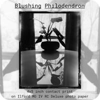 Darkroom Prints - Thumbnail 2