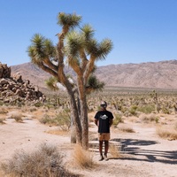 I Love Cumberland Transit shirt  - Thumbnail 3