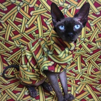 French Fries! - Fleece - Thumbnail 1