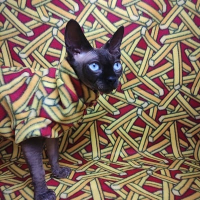 French fries! - fleece